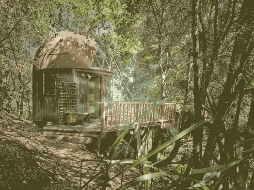 Inside the world’s most booked Airbnb